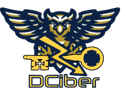 logociber-1-300x230-1